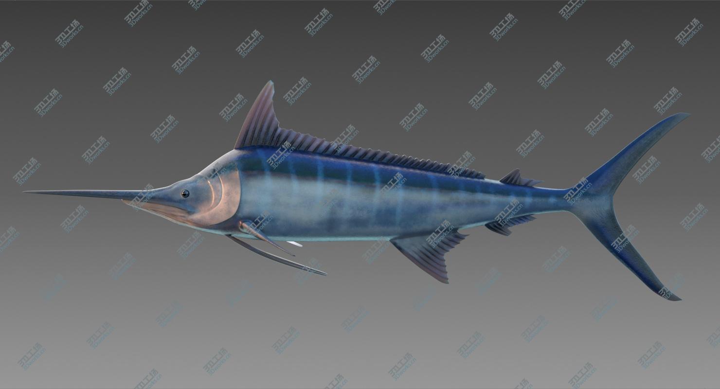 images/goods_img/2021040161/3D Blue Marlin Rigged model/5.jpg